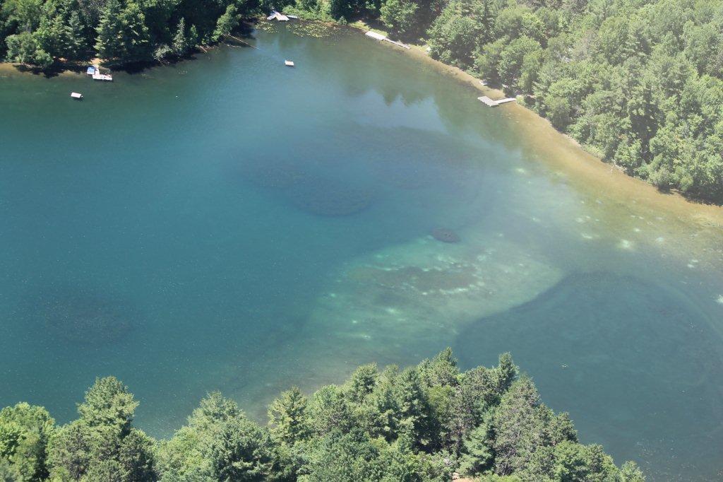 Millfoil photos on Danford Lake Lakes Association of Kazabazua