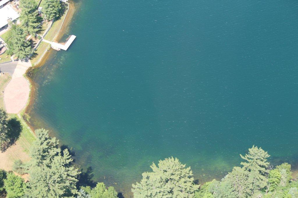 Millfoil photos on Danford Lake Lakes Association of Kazabazua