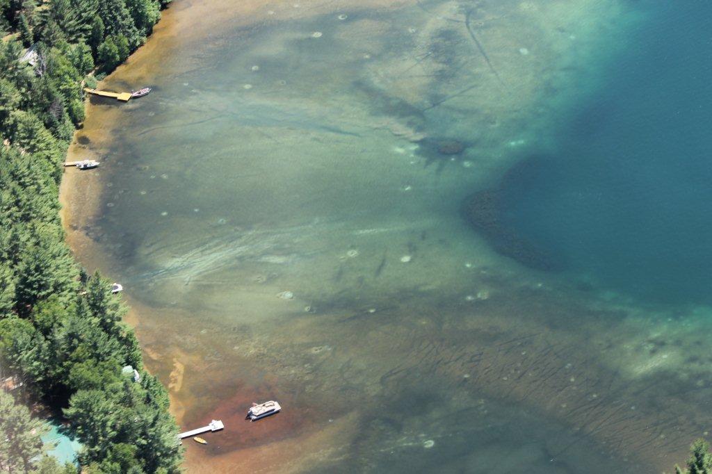Millfoil photos on Danford Lake Lakes Association of Kazabazua