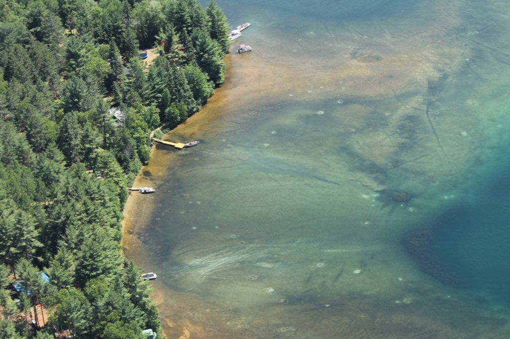 Millfoil photos on Danford Lake Lakes Association of Kazabazua