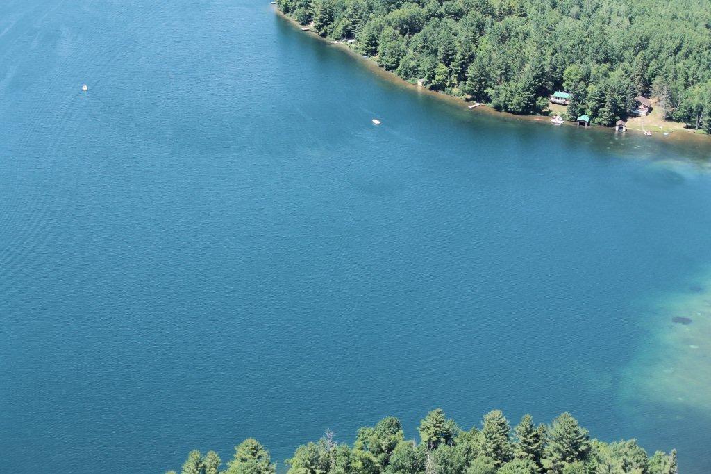 Millfoil photos on Danford Lake Lakes Association of Kazabazua