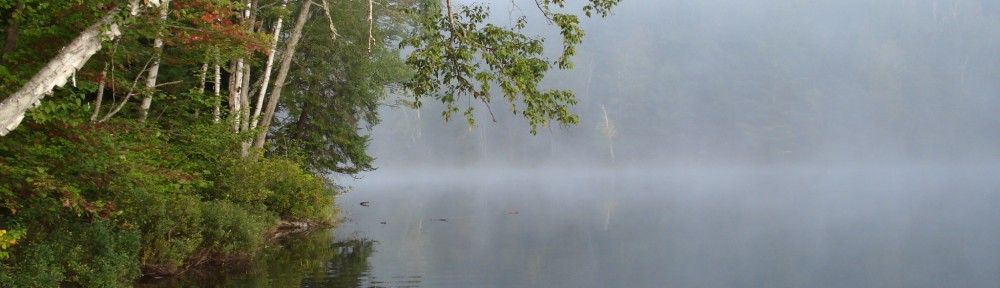 Association des lacs de Kazabazua / Lakes Association of Kazabazua